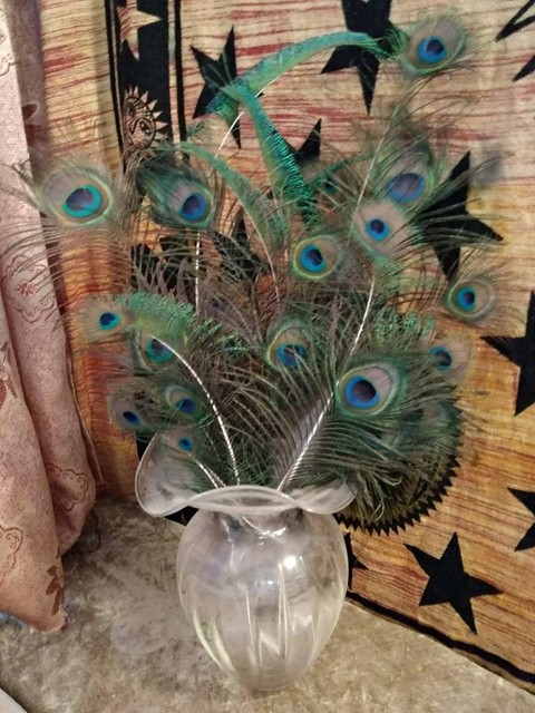 Vase With Peacock Feathers In Rusholme Manchester Gumtree