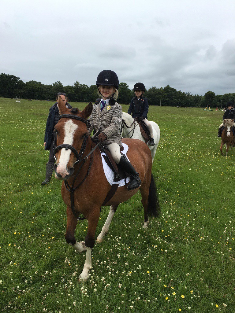 Fun 12.2hh Lead Rein Pony for Sale in Maybole, South Ayrshire Gumtree