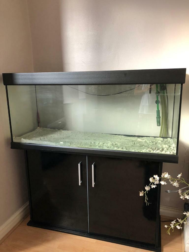 Fish Tank in Hyde, Manchester Gumtree