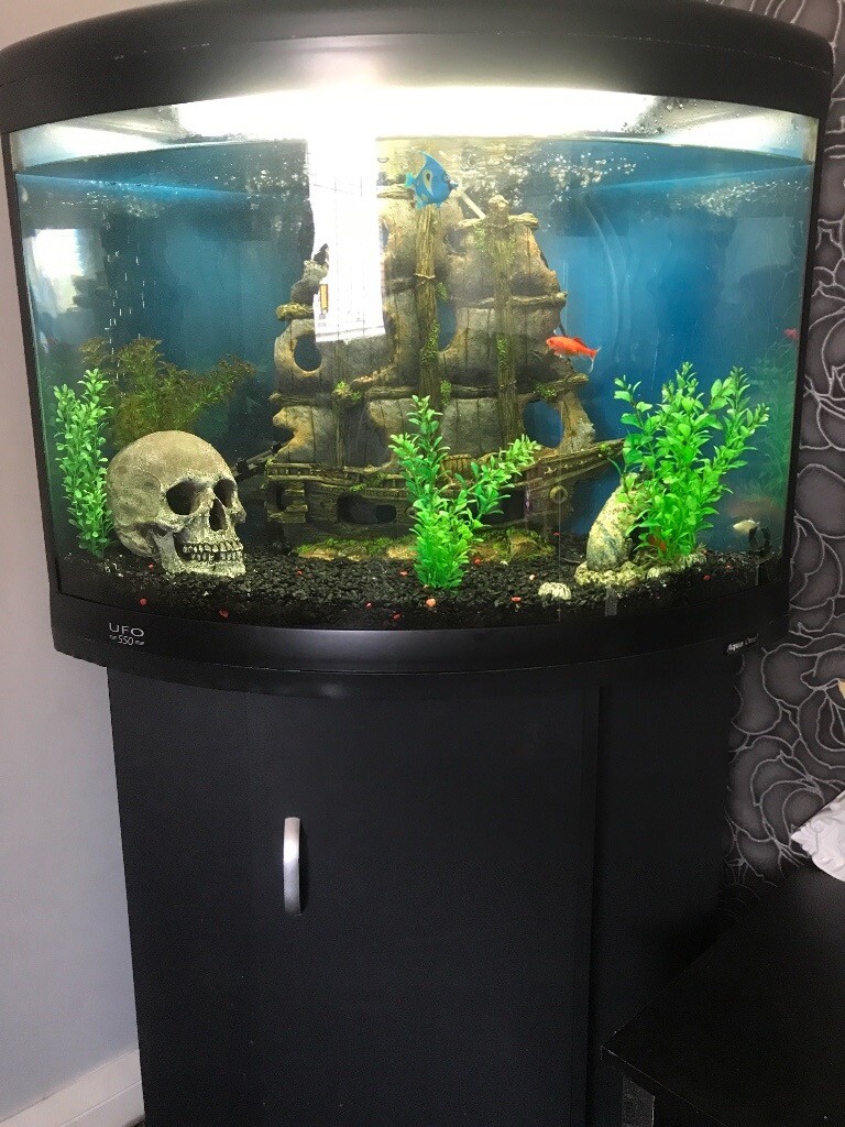 UFO 550 corner fish tank in Middlesbrough, North Yorkshire Gumtree