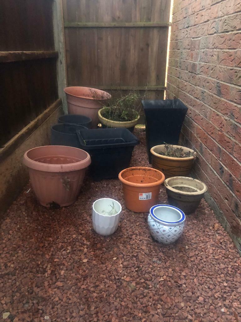 Job lot garden pots in Widnes, Cheshire Gumtree