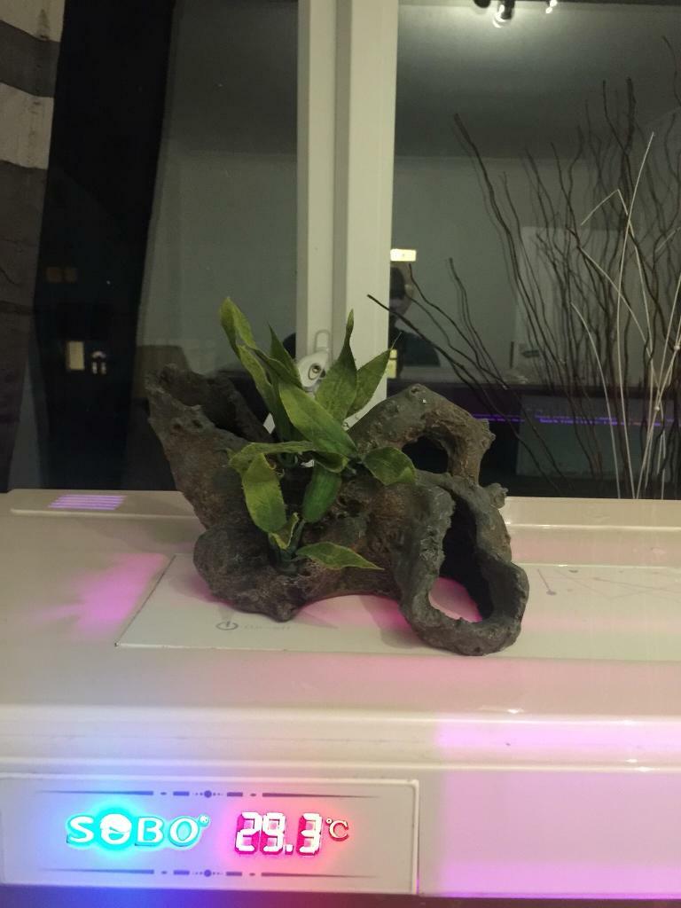 Fish tank ornament in WestcliffonSea, Essex Gumtree