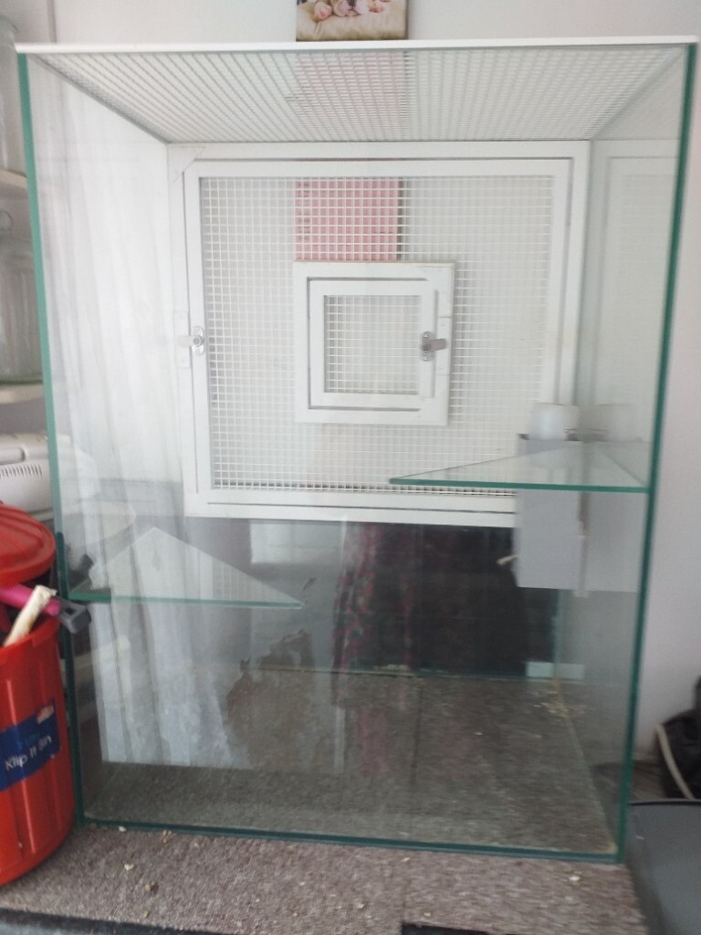 Large glass tank/cage in Reading, Berkshire Gumtree
