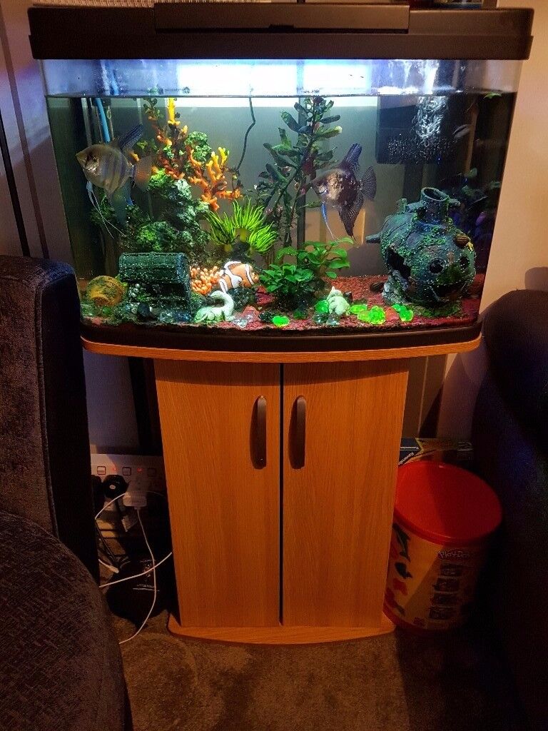 64 Litre Tropical Fish Tank Cabinet Fish In Wareham Dorset