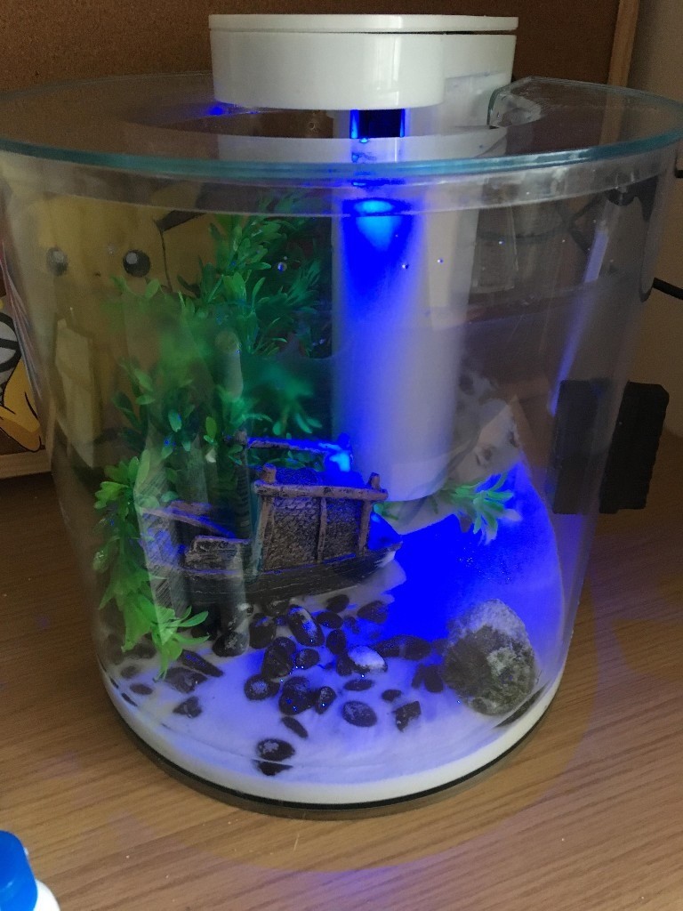 Complete Tropical Fish Tank Set Up in Newcastle, Tyne and Wear Gumtree