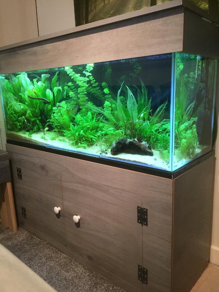4FT AQUARIUM tropical freshwater or marine tank. Excellent Condition