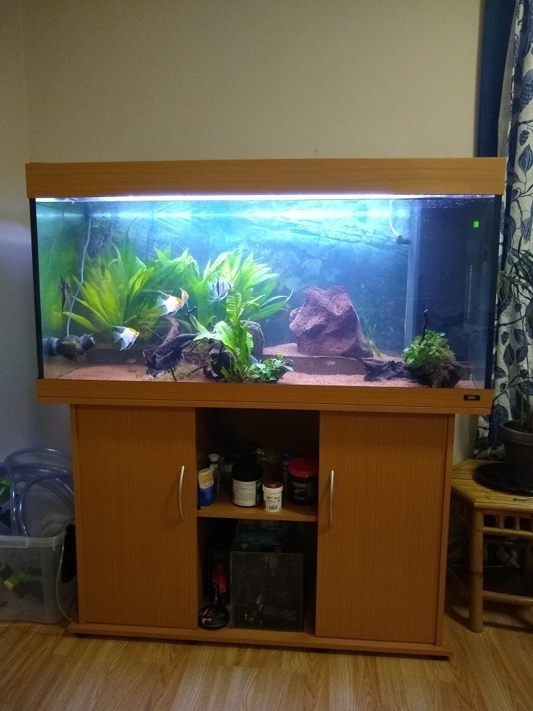 Juwel 350L Aquarium + Equipment in Leith Links, Edinburgh Gumtree