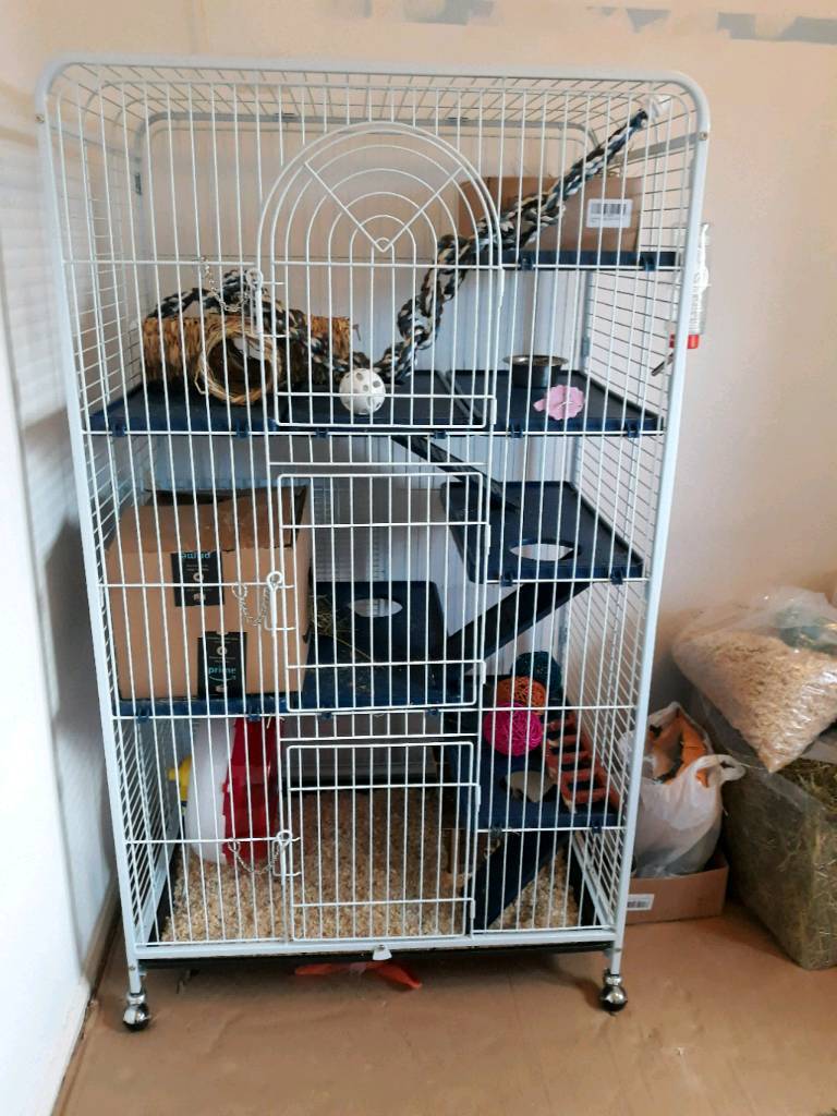 Large rat cage, and 2 two rats in Morpeth, Northumberland Gumtree