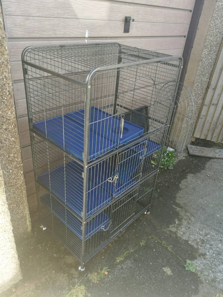 Large multi level ferret cage in Tillicoultry, Clackmannanshire Gumtree