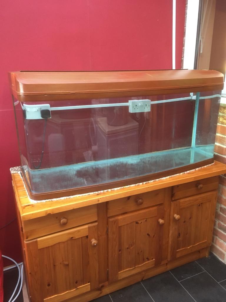 4ft 250 litre fish tank in Colchester, Essex Gumtree