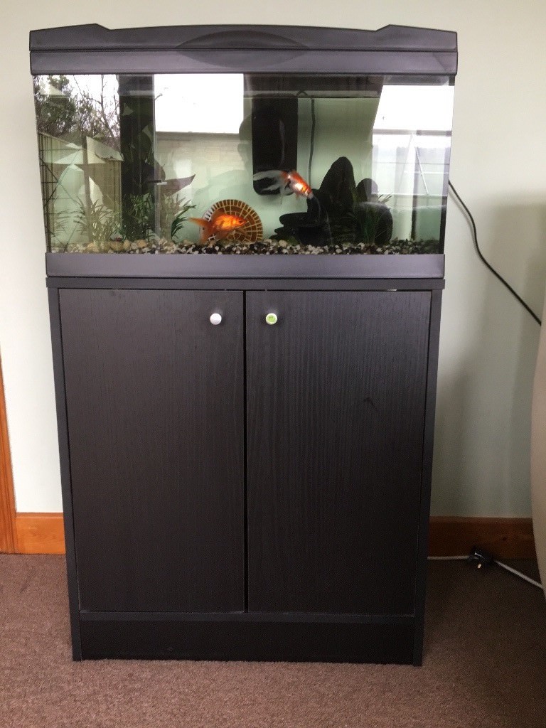Fish tank for sale in Burgess Hill, West Sussex Gumtree