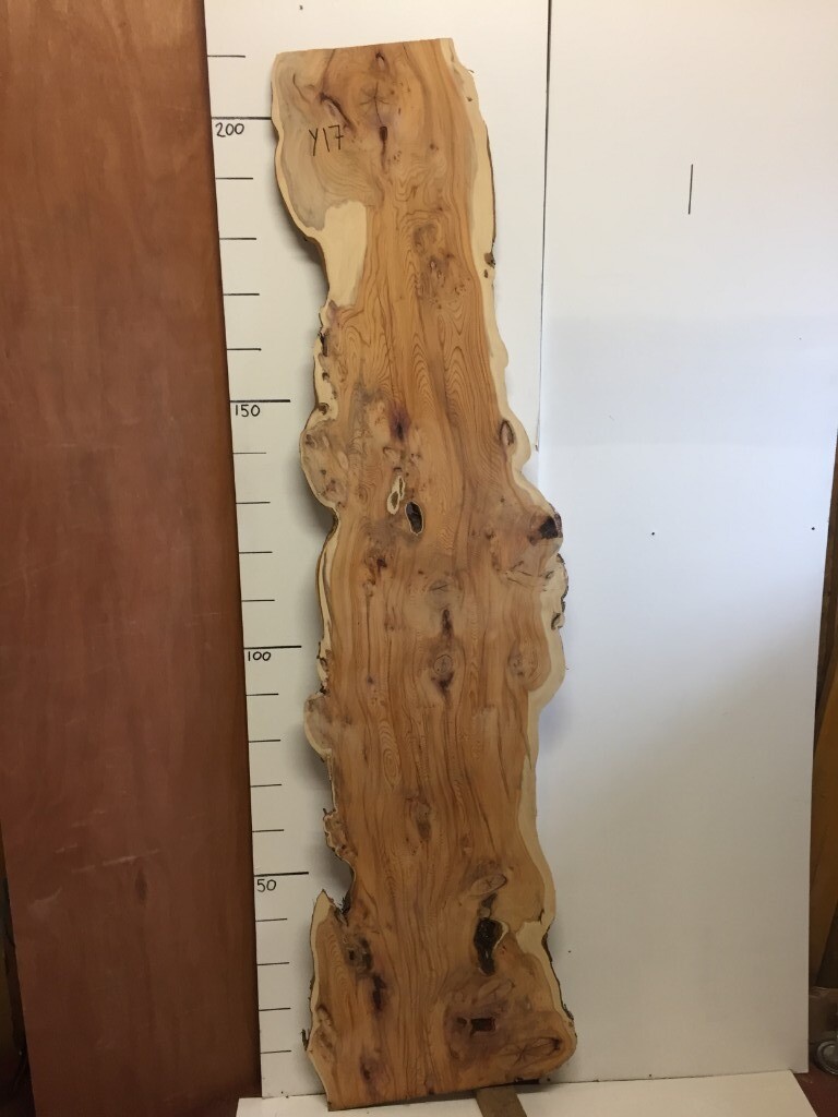 yew boards, planks, timber, wood. not oak, elm, beech