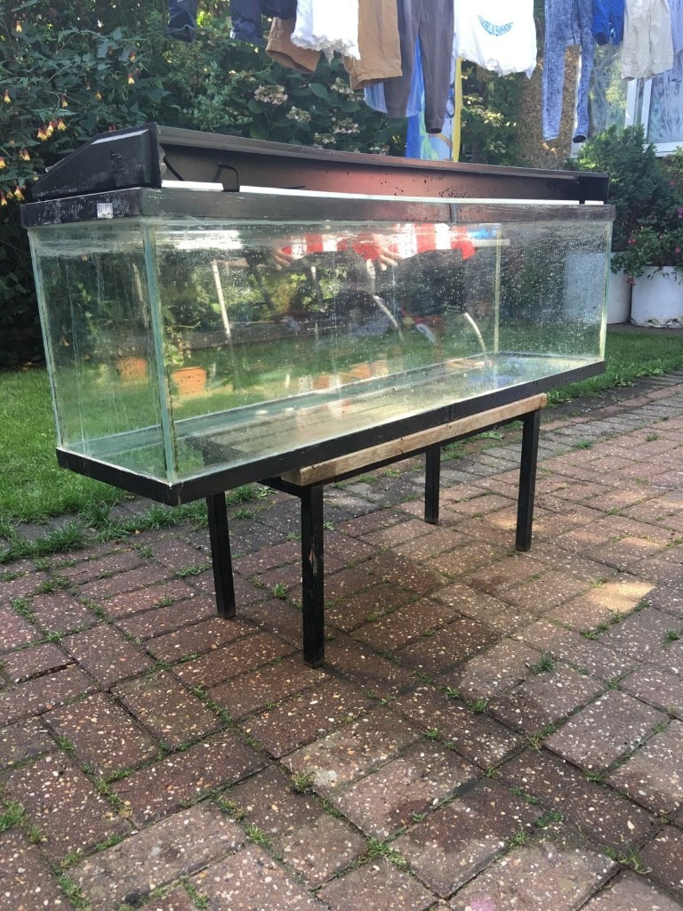 Fish Tank 4 Foot long 108 Litre in Hounslow, London Gumtree