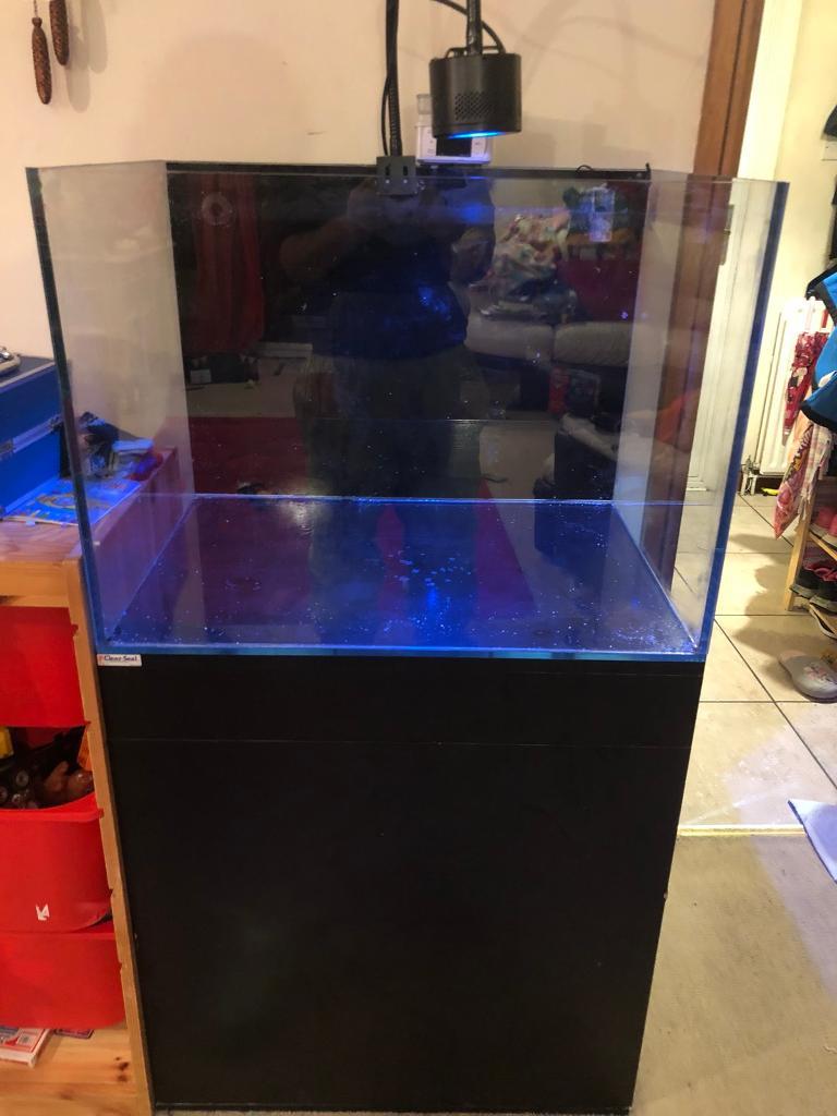Clear seal marine fish tank with sump in Poole, Dorset Gumtree