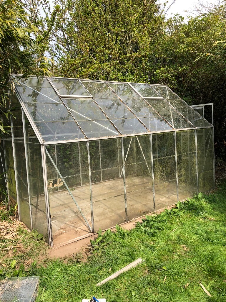 Large Greenhouse and Staging For Sale in Great Yarmouth, Norfolk