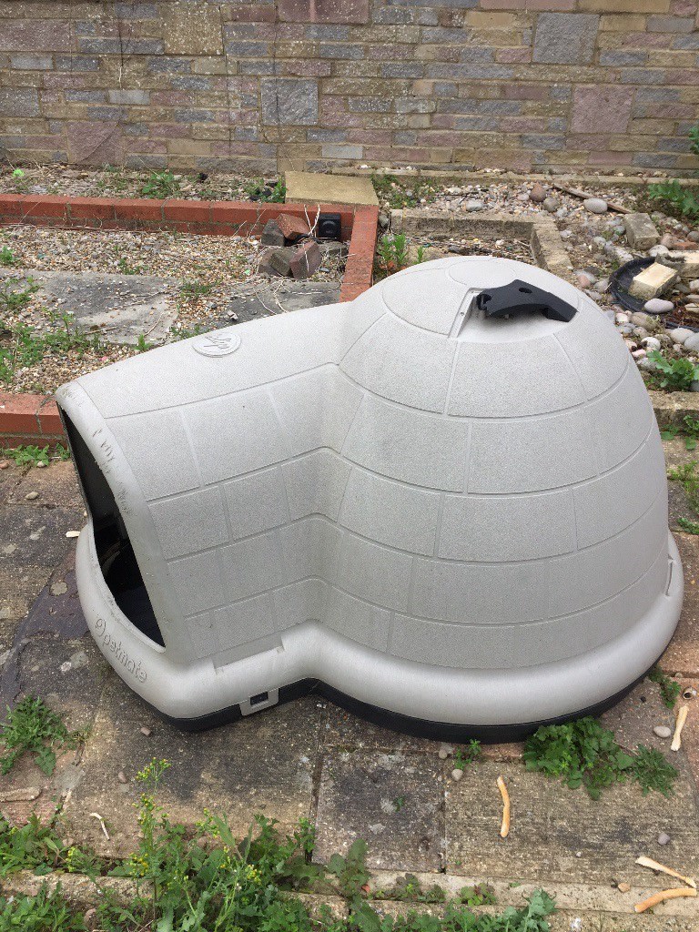Dog kennel ( x large igloo) in Luton, Bedfordshire Gumtree