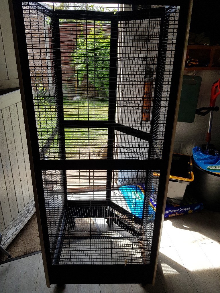 Large indoor aviary cage in Abingdon, Oxfordshire Gumtree