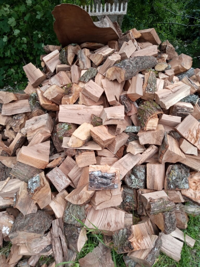 Part seasoned Elm firewood in Dingwall, Highland Gumtree