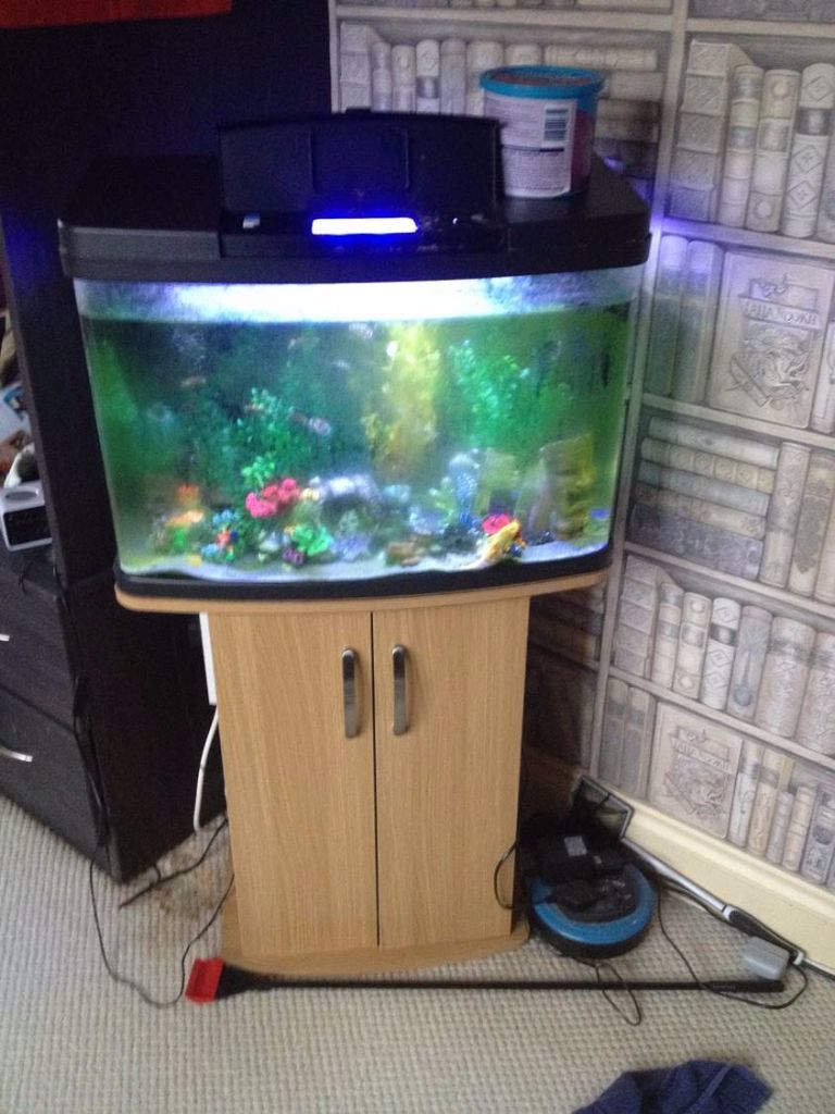 Love Fish Panorama Tank 64 Litre £55 in Rochford, Essex Gumtree