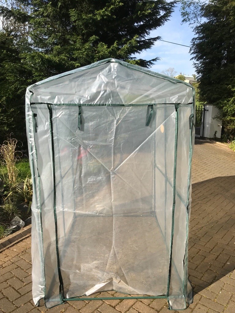 Unused Mini walk in polythene greenhouse 6 by 6 by 4 foot in