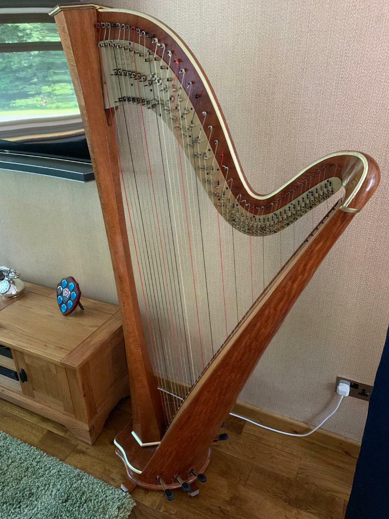 47 string pedal harp in Tonyrefail, Rhondda Cynon Taf Gumtree
