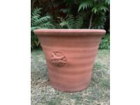 Lovely taller, darker terracotta plant pot with 3 sun emblems