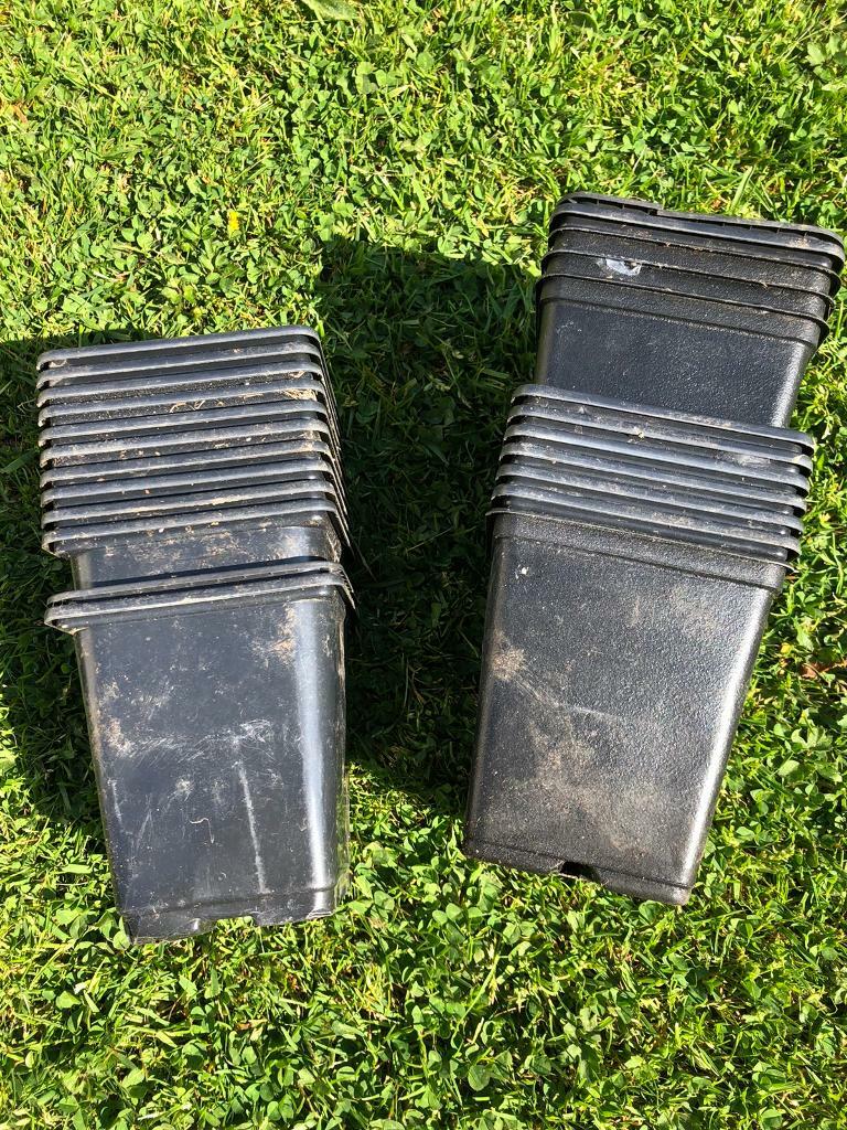 Free Black Square Plant Pots 10cm High in Knightswood, Glasgow Gumtree