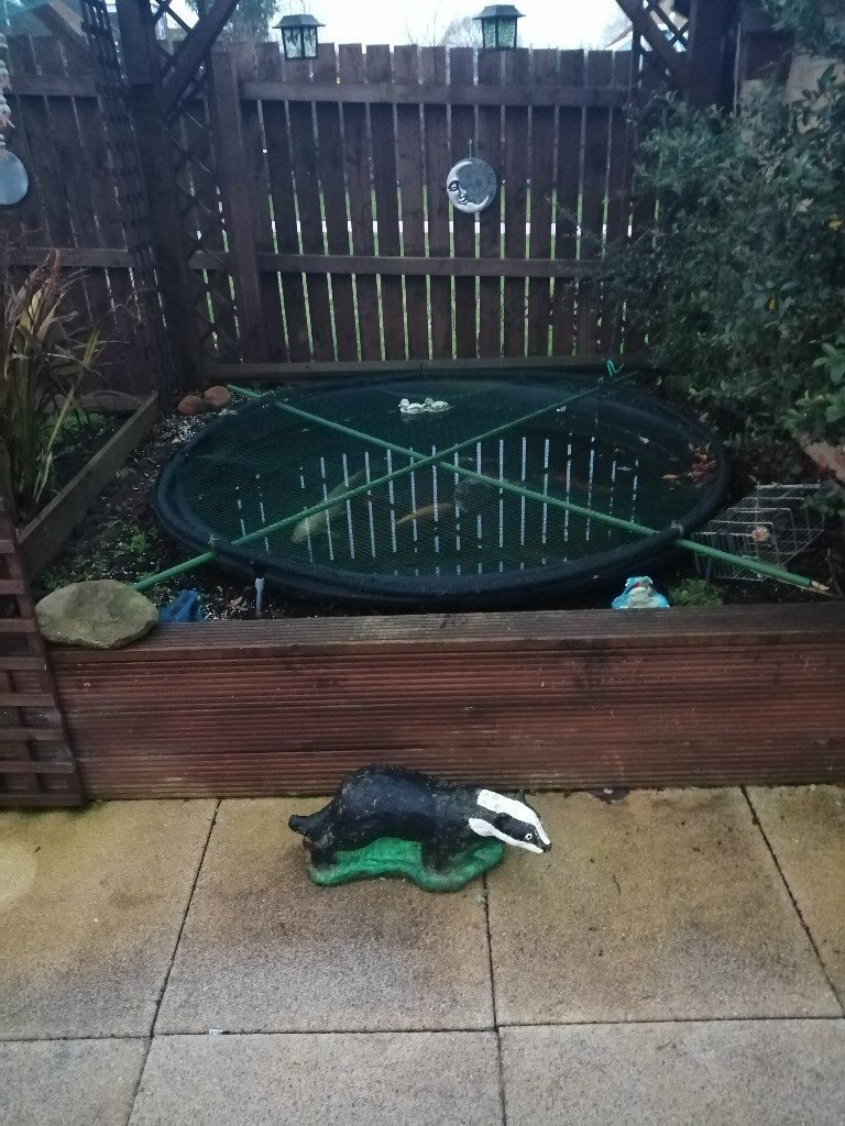 round rigid pond in Middlesbrough, North Yorkshire Gumtree
