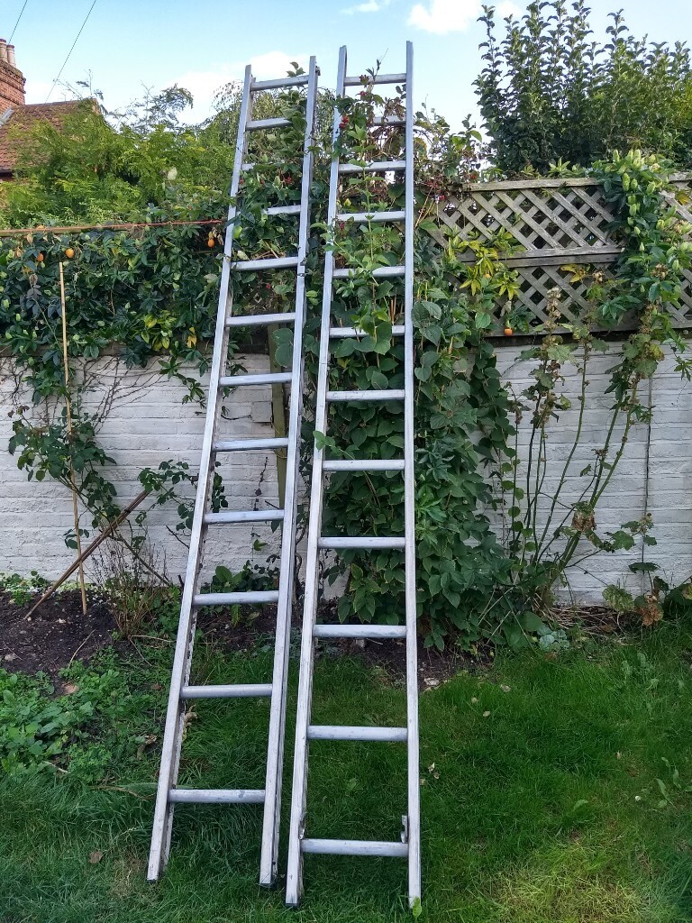 Large (6m/20ft) lightweight ladder in Norwich, Norfolk Gumtree