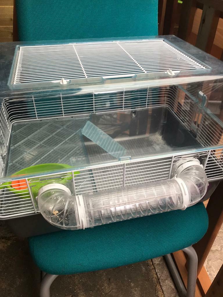 LARGE PLASTIC HAMSTER CAGE IN GOOD CONDITION in Sheffield, South