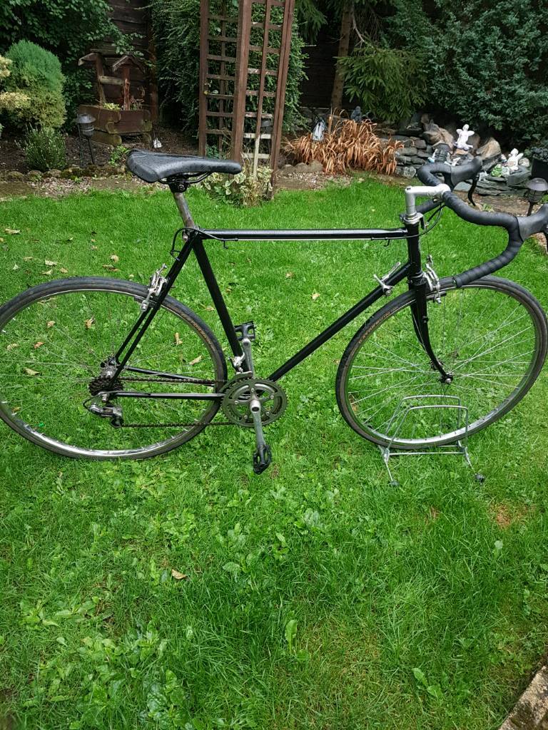 raleigh bike aluminum frame