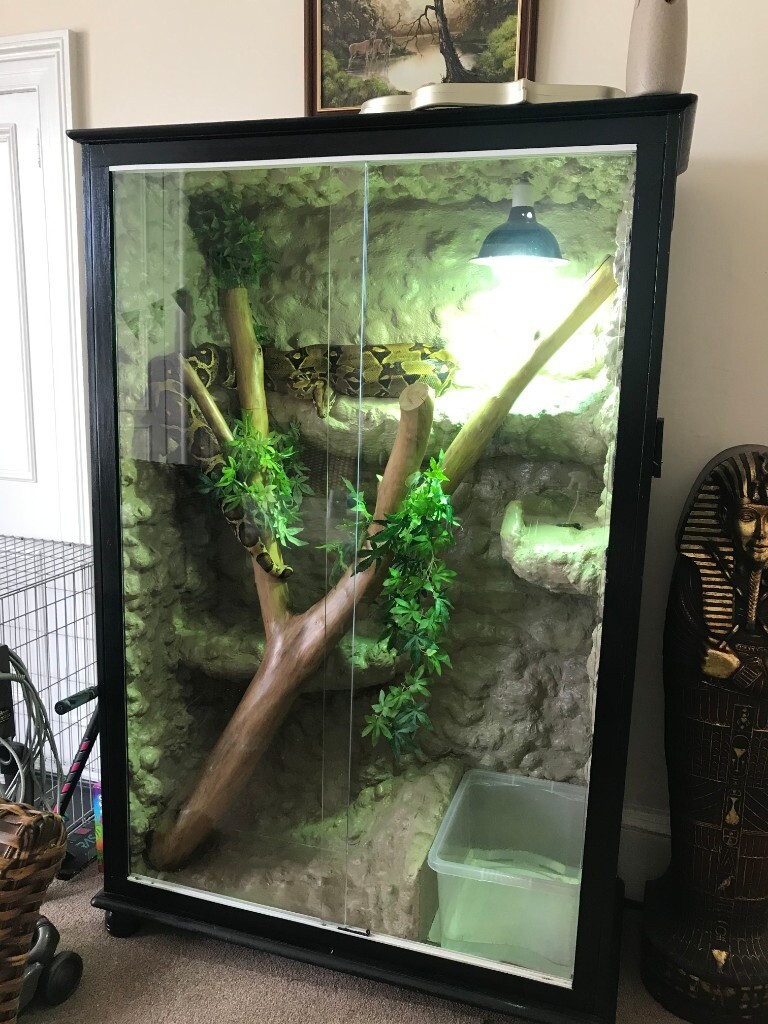 Snake Tank Size Chart