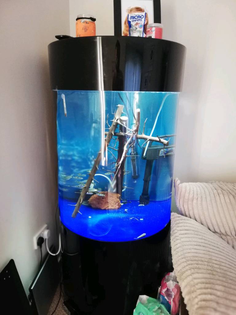 Column fish tank in Heath, Cardiff Gumtree