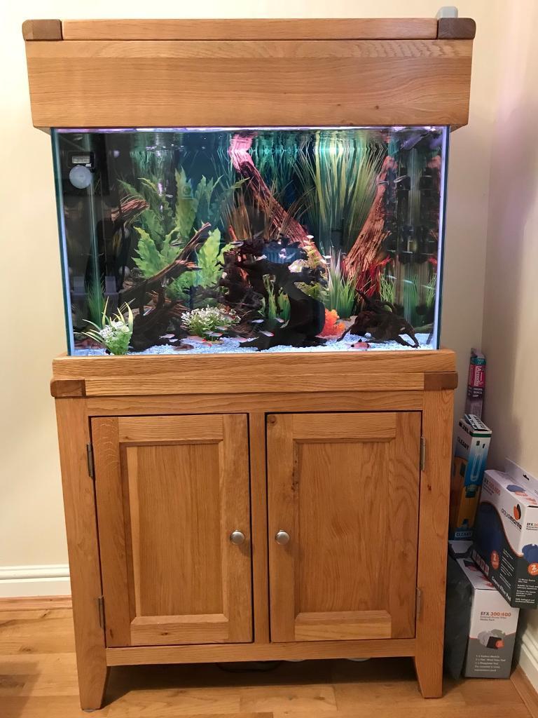 Genuine Maidenhead aquaoak 100 litre tropical fish tank. in Carlton