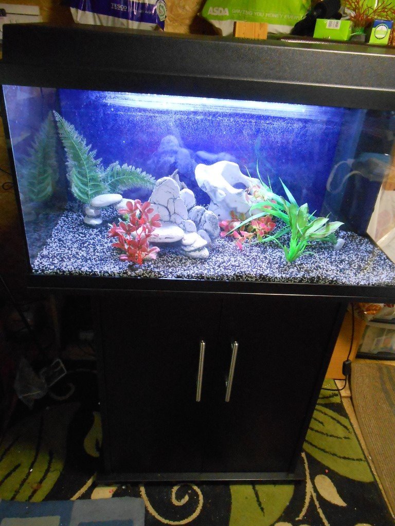 Juwel 110 Litre aquarium with mint condition stand everything for