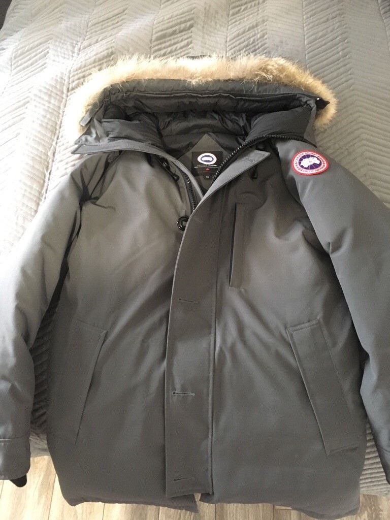 canada goose on gumtree canada goose on gumtree