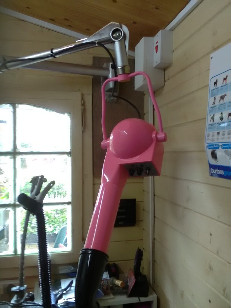 Wall mounted dog grooming finishing dryer variable speed and heat