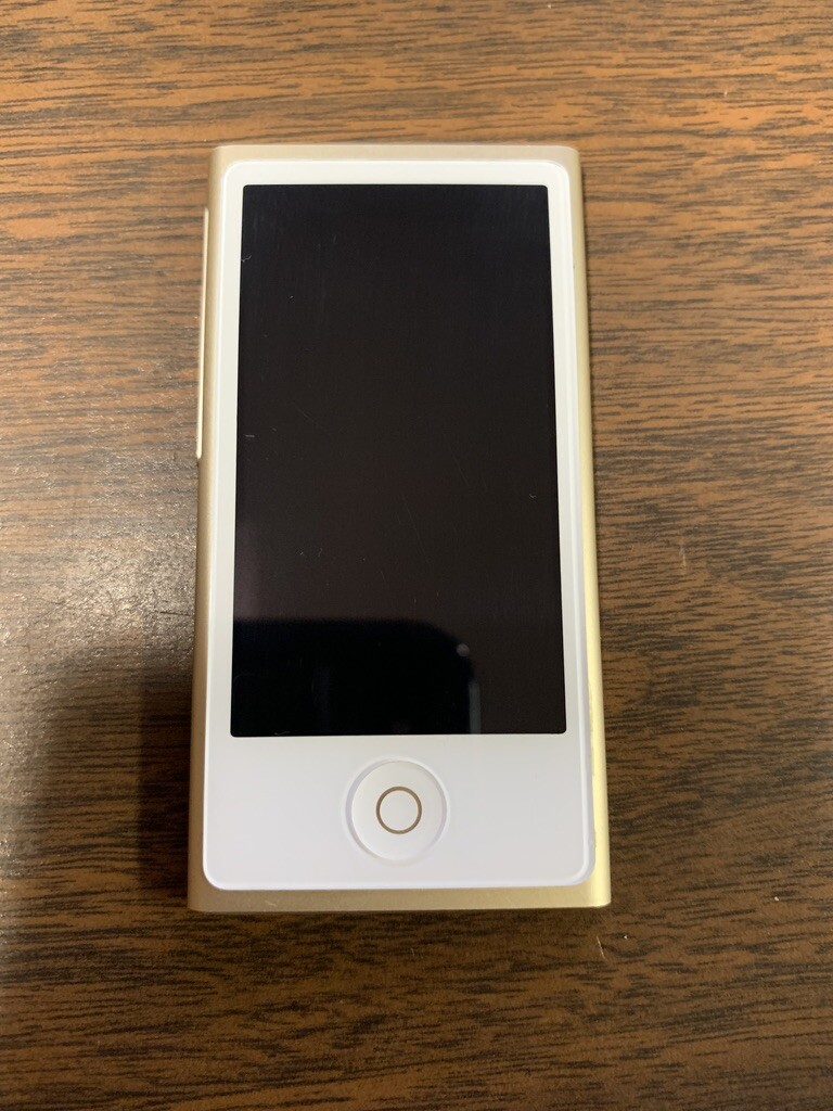 Apple iPod nano 8th Generation Gold (16 GB) Bundle