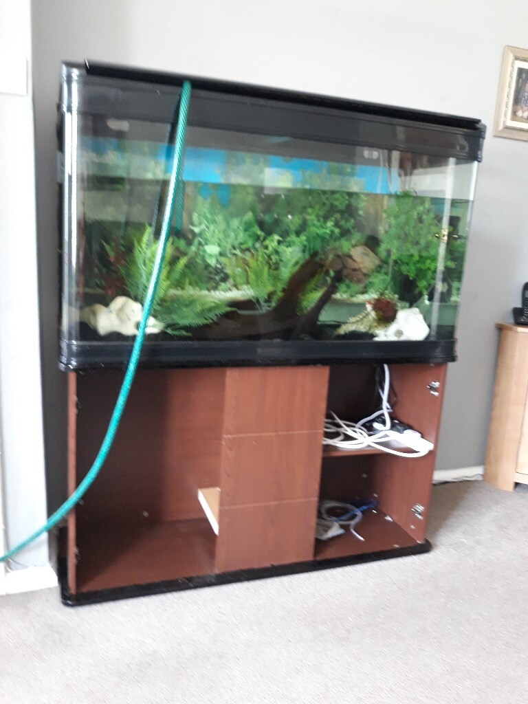 Not needed fish tank only offers 300 litres in StokeonTrent