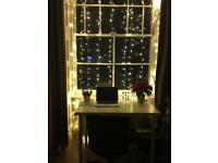 Christmas fairy lights curtain