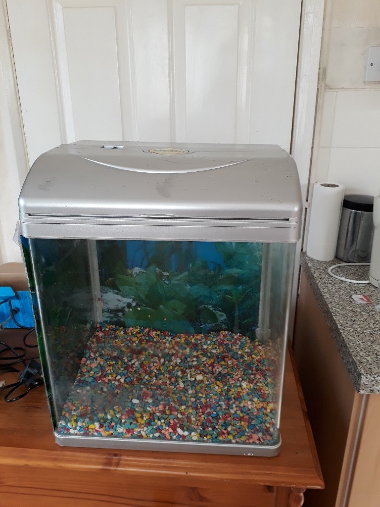 small fish tank plastic in good condition size tall 46cm x front facing wide 37cm deep 28cm in
