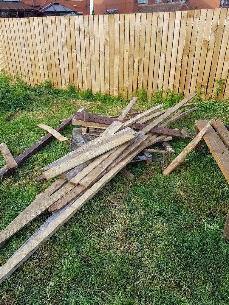 selection of wood in sherburn in elmet, west yorkshire