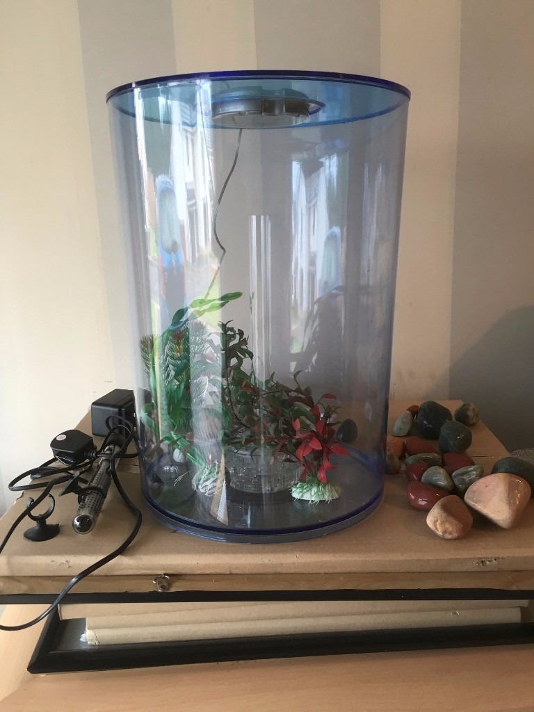 Beautiful Blue Biorb Cylinder Aquarium with Wide Range of Accessories