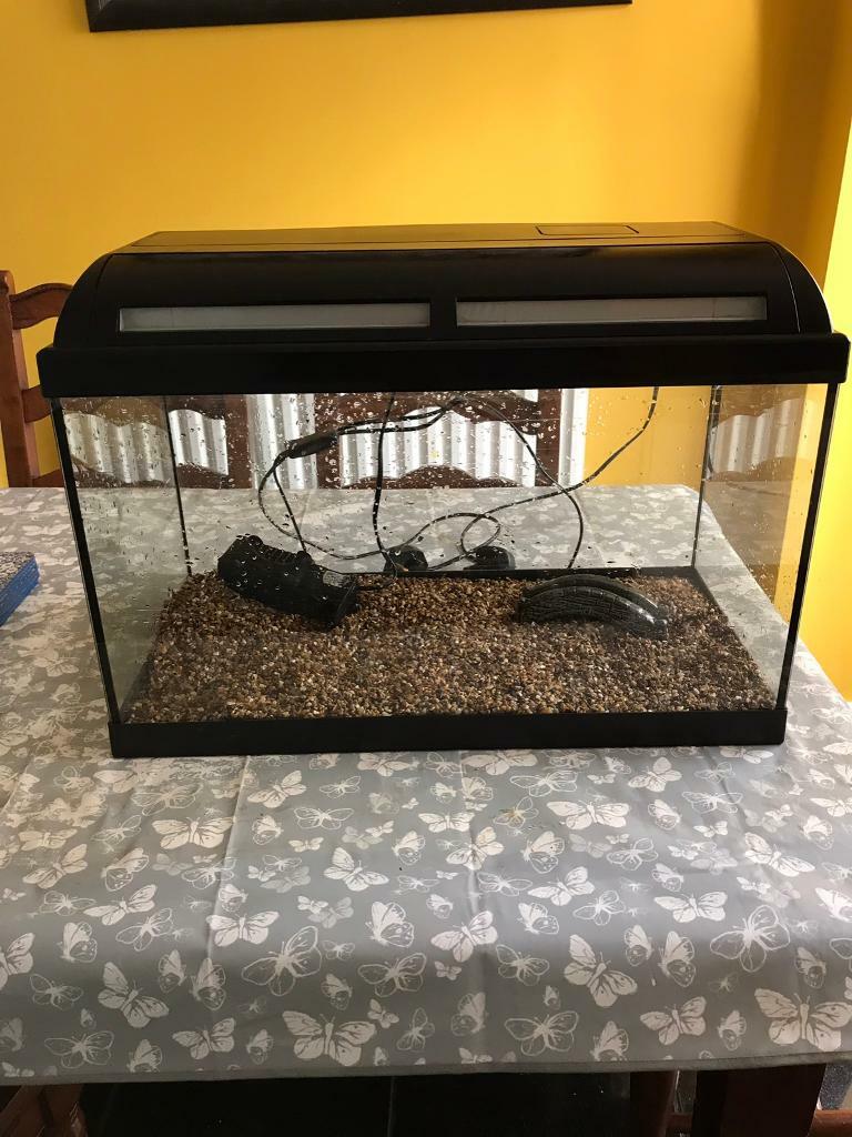 60 litre fish tank in Telford, Shropshire Gumtree