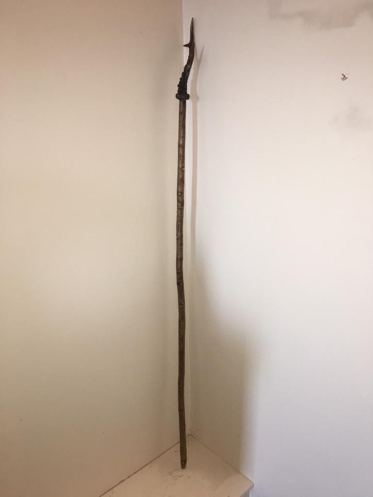 Antler walking stick | in Forfar, Angus | Gumtree