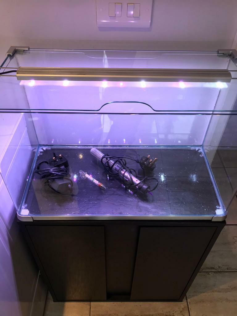 ADA style 60L aquarium fish tank in Stranmillis, Belfast Gumtree