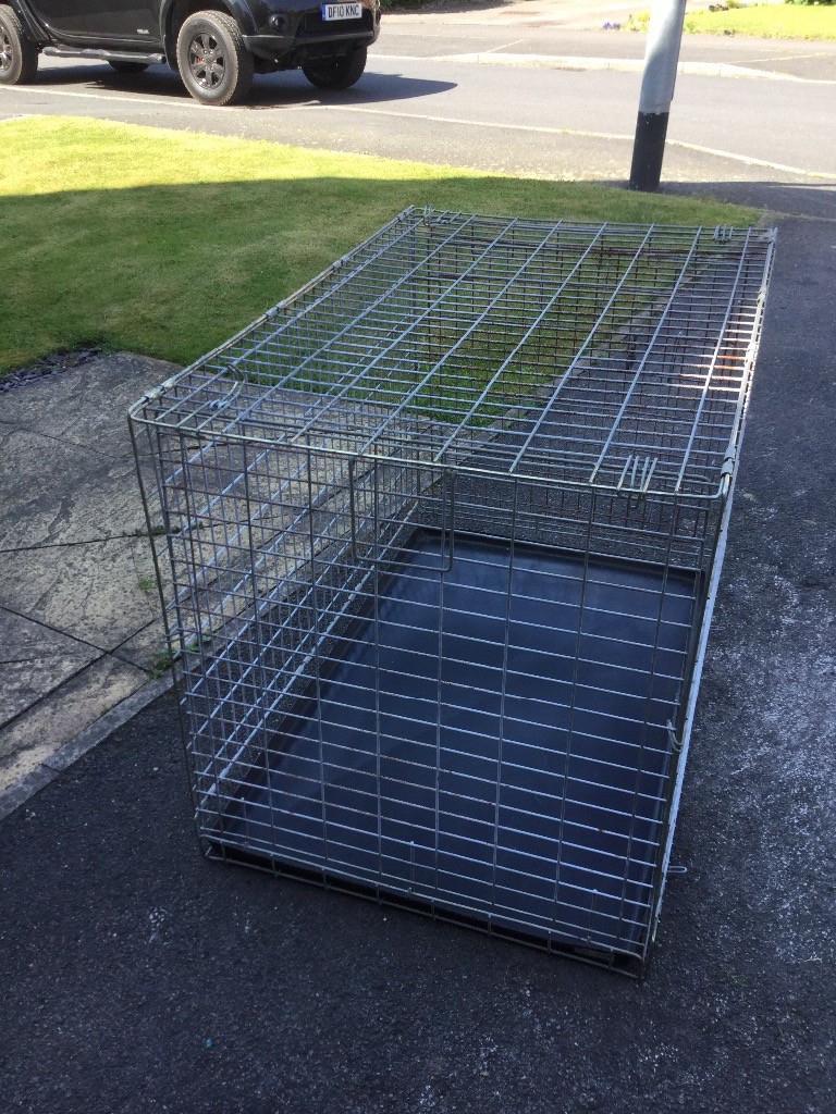 Extra large dog cage in Carlton, Nottinghamshire Gumtree