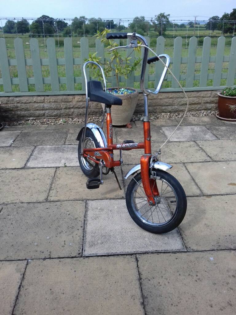 raleigh budgie