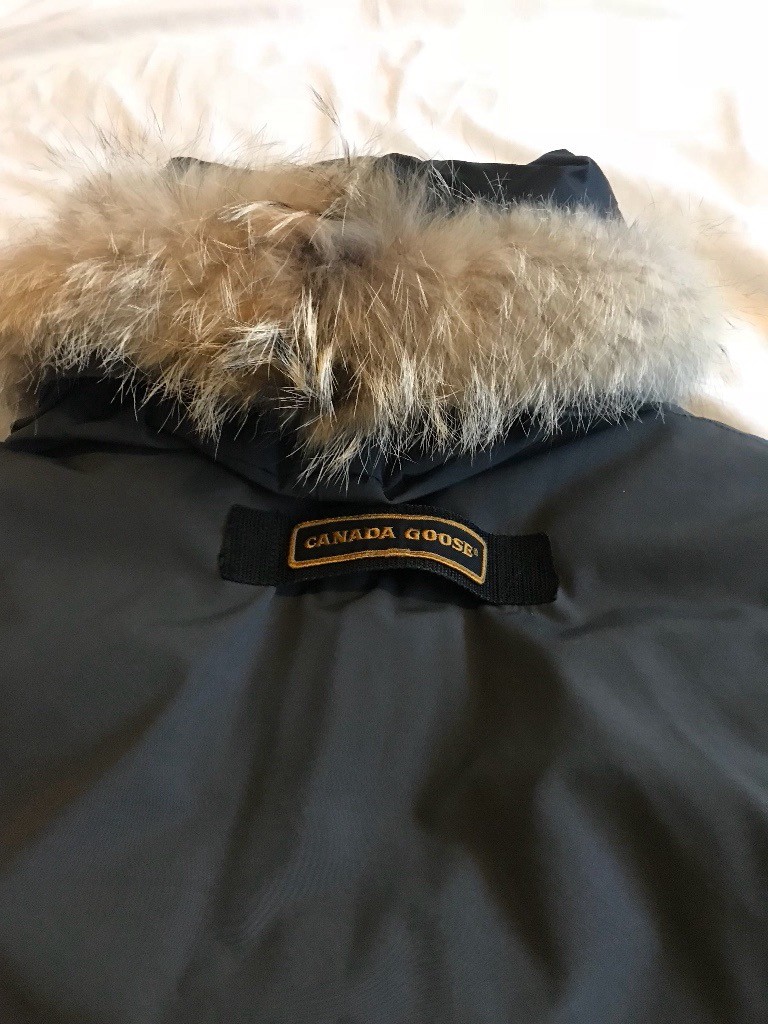 canada goose gumtree liverpool canada goose gumtree liverpool