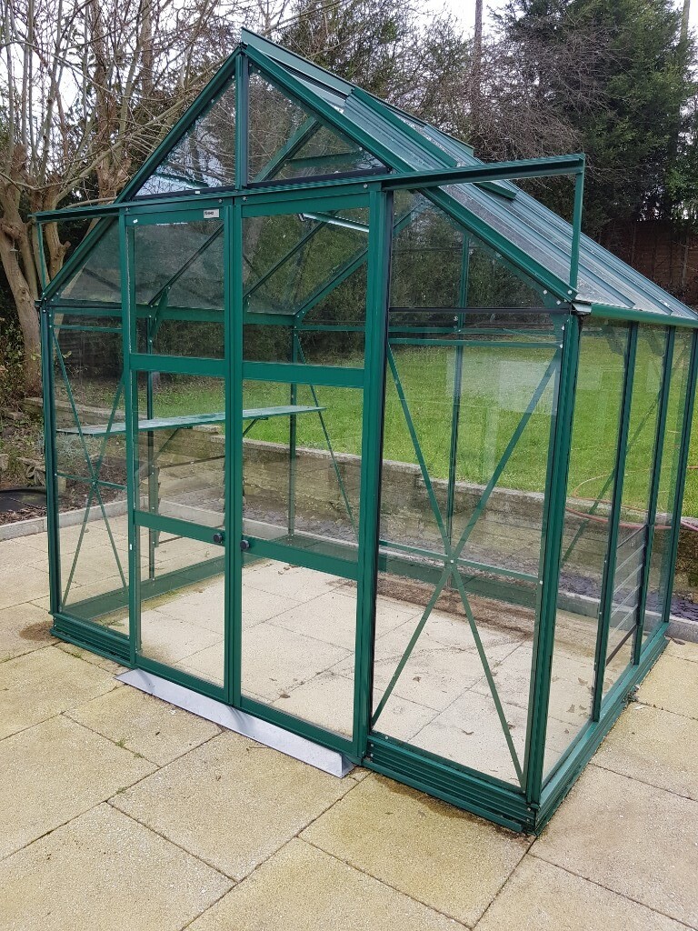 Greenhouse (Rhino) 8x6ft in Swallownest, South Yorkshire Gumtree